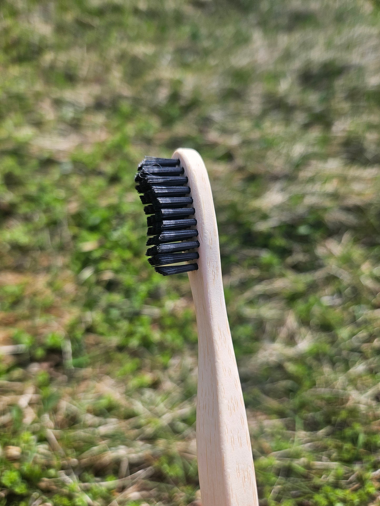 Bamboo Tooth Brush